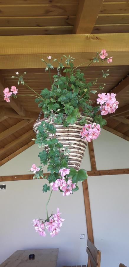 Guest House Ideal Sapareva Banya Exterior photo
